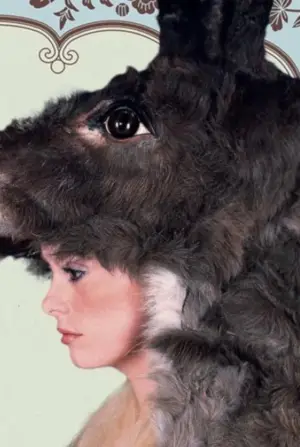 Постер до фильму"Віслюча шкура" #812124