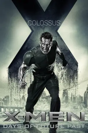 Постер до фильму"Люди Ікс: Дні минулого майбутнього" #574384