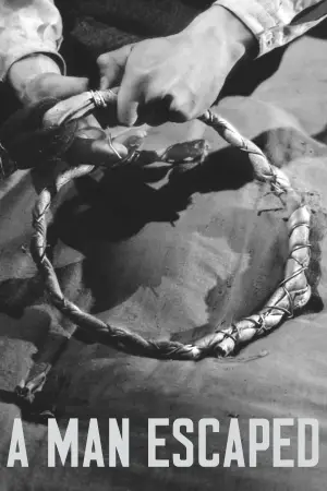 Постер до фильму"" #543073