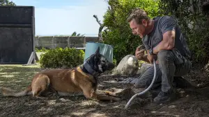 Задник до фильму"" #509951