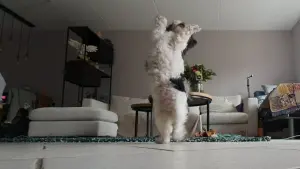 Задник до фильму"" #452441