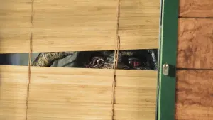 Задник до фильму"" #398666