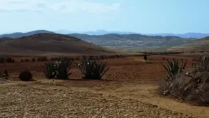 Задник до фильму"Хороший, поганий, злий" #582117