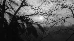 Задник до фильму"Ніч живих мерців" #697260