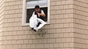 Задник до фильму"Американський пиріг 3: Весілля" #296902