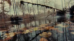 Задник до фильму"Зловісні мерці" #637048