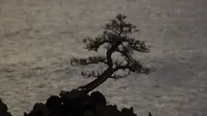 Задник до фильму"Малюк-каратист 2" #670638