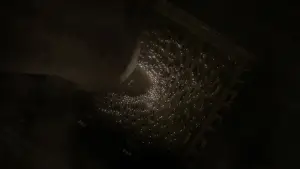 Задник до фильму"Гаррі Поттер та напівкровний принц" #830982