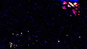 Задник до фильму"" #571535