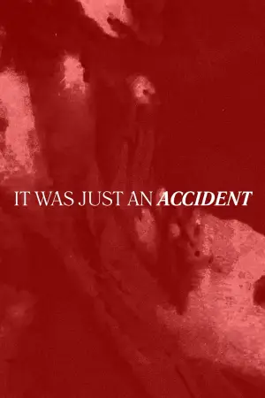 Постер до фильму"It Was Just an Accident" #842529