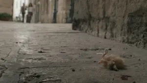 Задник до фильму"Весна" #273756