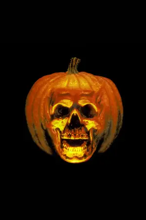 Постер до фильму"Гелловін 2" #709047