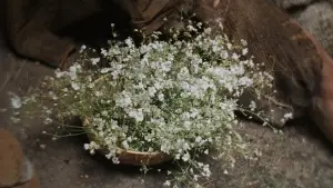 Задник до фильму"Матеріалісти" #558698