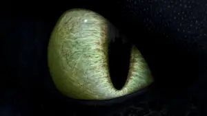 Задник до фильму"Як приборкати дракона" #581329