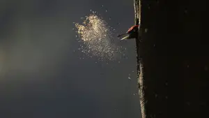 Задник до фильму"" #534635