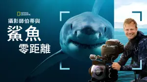Задник до фильму"Sharks Up Close with Bertie Gregory" #793002