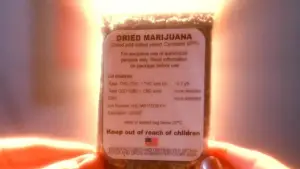 Задник до фильму"Реготуха" #676715