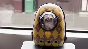 Задник до фильму"Арґайл" #170848