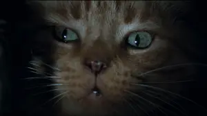 Задник до фильму"Чужий" #750287