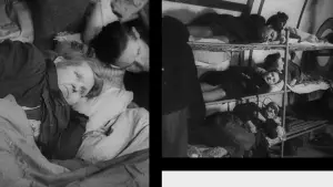 Задник до фильму"" #548513