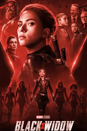 Постер до фильму"Чорна вдова" #570061