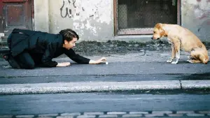 Задник до фильму"" #498231