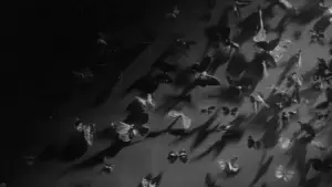 Задник до фильму"殺しの烙印" #763854