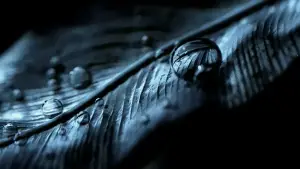 Задник до фильму"Місто Бога" #606951