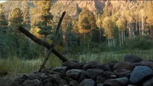 Задник до фильму"Лоґан: Росомаха" #577551