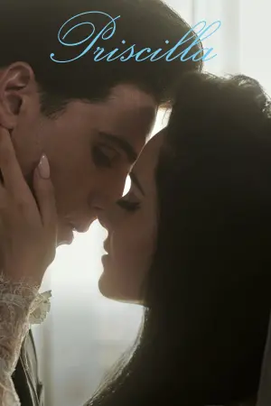 Постер до фильму"Прісцилла" #81466