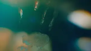Задник до фильму"Напрочуд кмітливі створіння" #909484