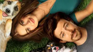 Задник до фильму"" #675020