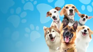 Задник до фильму"" #469164