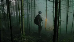 Задник до фильму"Тихий ліс" #373124