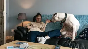 Задник до фильму"" #692815