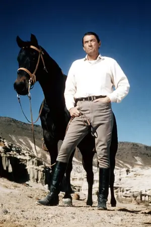 Постер до фильму"Велика країна" #203326