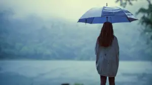 Задник до фильму"" #733096