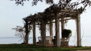 Задник до фильму"Практична магія" #697219