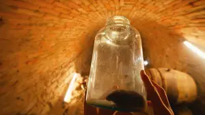 Задник до фильму"" #683405