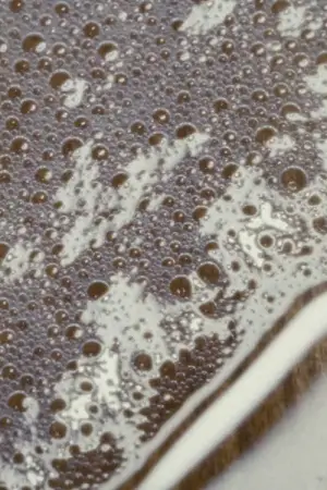 Постер до фильму"" #561199