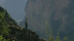 Задник до фильму"" #542303