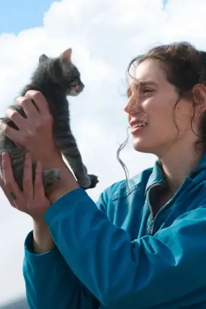 Постер до фильму"Пробач, дівчинко" #523596