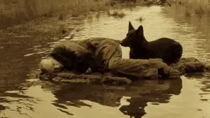 Задник до фильму"Сталкер" #734105