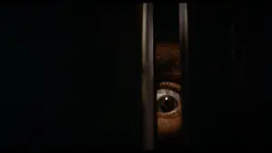 Задник до фильму"Чорне Різдво" #254141