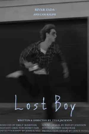 Постер до фильму"Lost Boy" #929528