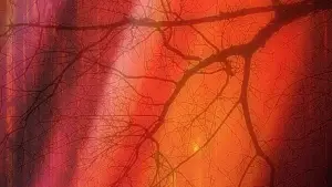 Задник до фильму"" #744211