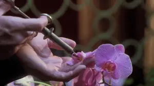 Задник до фильму"Секретарка" #718473