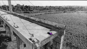 Задник до фильму"" #744591