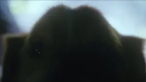 Задник до фильму"Хороший хлопчик" #517219