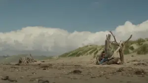 Задник до фильму"Camera" #789249